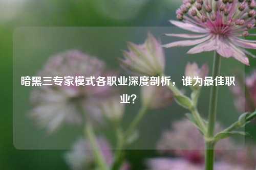 暗黑三专家模式各职业深度剖析,谁为最佳职业?