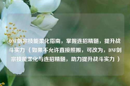 DNF剑宗技能柔化指南,掌握连招精髓,提升战斗实力 (如果不允许直接照搬,可改为,DNF剑宗技能柔化与连招精髓,助力提升战斗实力 )