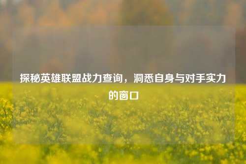 探秘英雄联盟战力查询,洞悉自身与对手实力的窗口