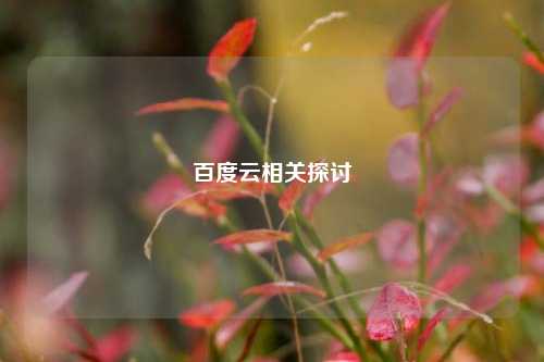 百度云相关探讨