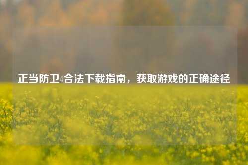 正当防卫4合法下载指南,获取游戏的正确途径