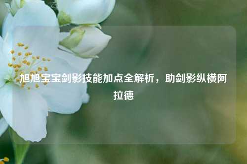 旭旭宝宝剑影技能加点全解析,助剑影纵横阿拉德