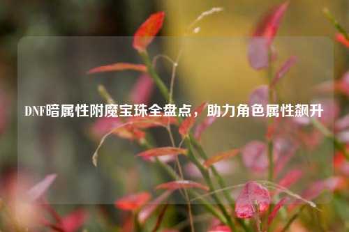 DNF暗属性附魔宝珠全盘点,助力角色属性飙升