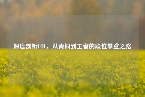 深度剖析LOL,从青铜到王者的段位攀登之路