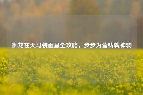 御龙在天马装砸星全攻略,步步为营铸就神驹