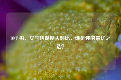 DNF 男、女气功深度大对比,谁是你的最优之选?