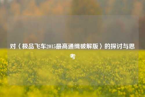 对〈极品飞车2015最高通缉破解版〉的探讨与思考