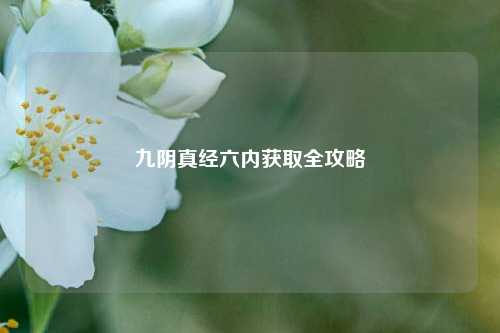 九阴真经六内获取全攻略