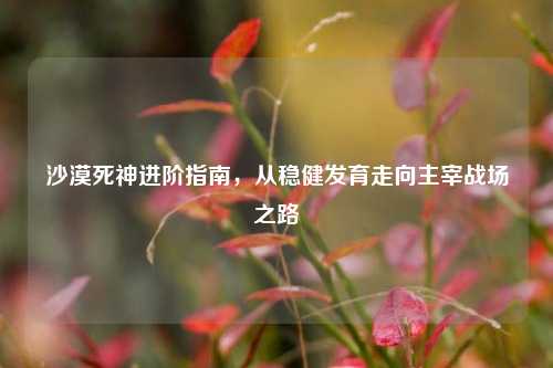 沙漠死神进阶指南,从稳健发育走向主宰战场之路