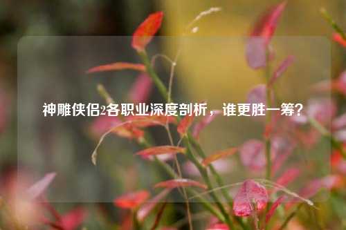 神雕侠侣2各职业深度剖析,谁更胜一筹?