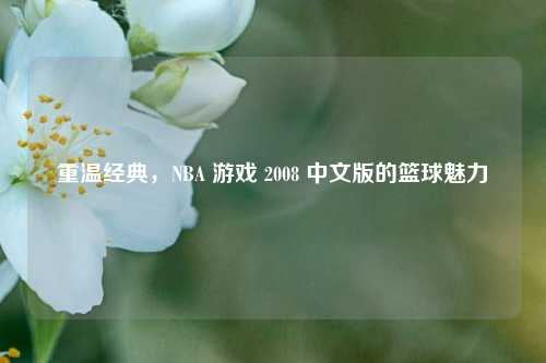 重温经典,NBA 游戏 2008 中文版的篮球魅力