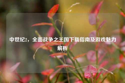中世纪2,全面战争之王国下载指南及游戏魅力解析