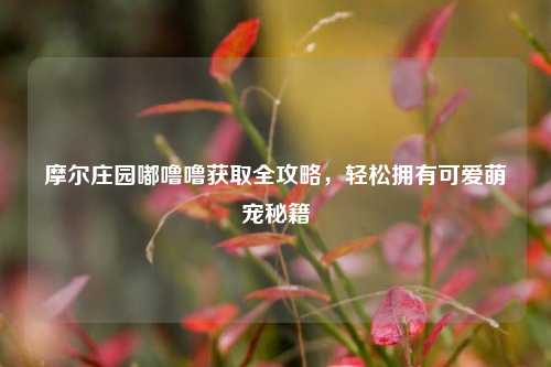 摩尔庄园嘟噜噜获取全攻略,轻松拥有可爱萌宠秘籍