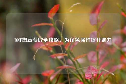DNF徽章获取全攻略,为角色属性提升助力