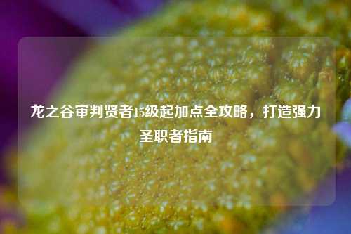 龙之谷审判贤者15级起加点全攻略,打造强力圣职者指南