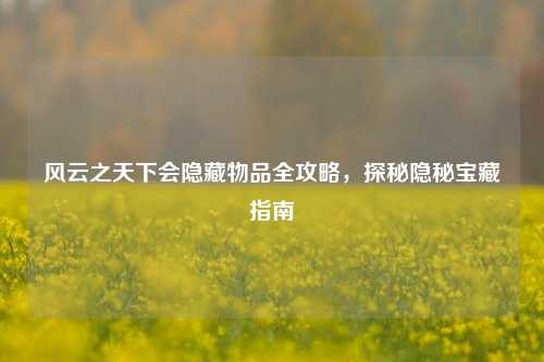 风云之天下会隐藏物品全攻略,探秘隐秘宝藏指南