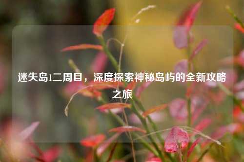 迷失岛1二周目,深度探索神秘岛屿的全新攻略之旅