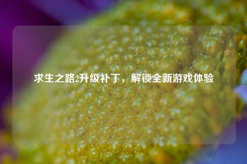 求生之路2升级补丁,解锁全新游戏体验