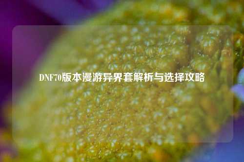 DNF70版本漫游异界套解析与选择攻略