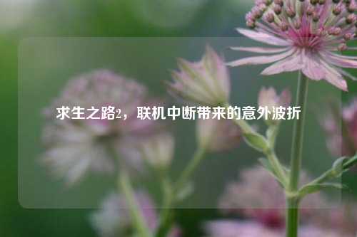 求生之路2,联机中断带来的意外波折