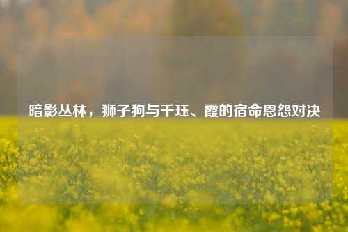 暗影丛林,狮子狗与千珏、霞的宿命恩怨对决