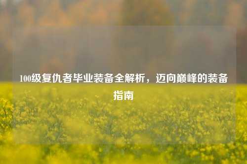 100级复仇者毕业装备全解析,迈向巅峰的装备指南