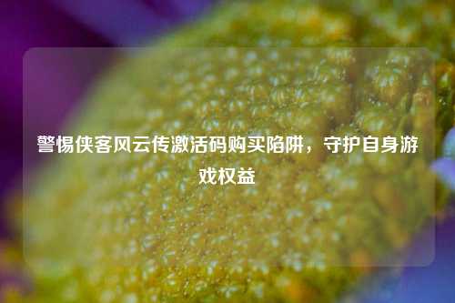 警惕侠客风云传激活码购买陷阱,守护自身游戏权益