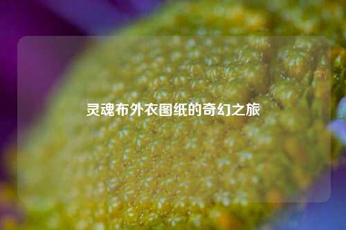 灵魂布外衣图纸的奇幻之旅