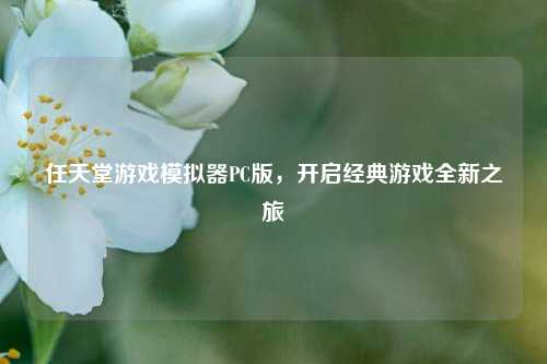 任天堂游戏模拟器PC版,开启经典游戏全新之旅