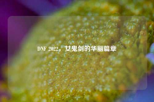 DNF 2022,女鬼剑的华丽篇章