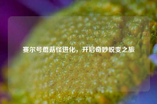 赛尔号蘑菇怪进化,开启奇妙蜕变之旅