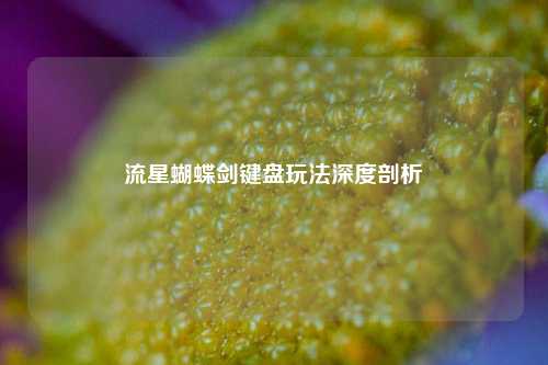 流星蝴蝶剑键盘玩法深度剖析