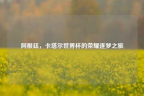 阿根廷,卡塔尔世界杯的荣耀逐梦之旅