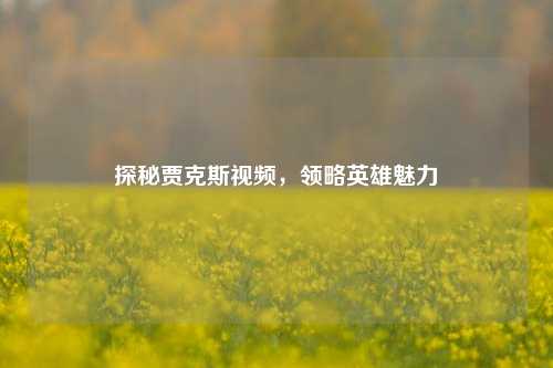 探秘贾克斯视频，领略英雄魅力