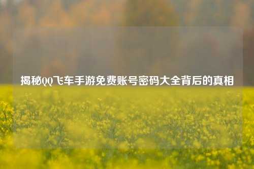 揭秘QQ飞车手游免费账号密码大全背后的真相