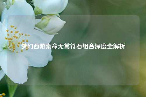 梦幻西游索命无常符石组合深度全解析