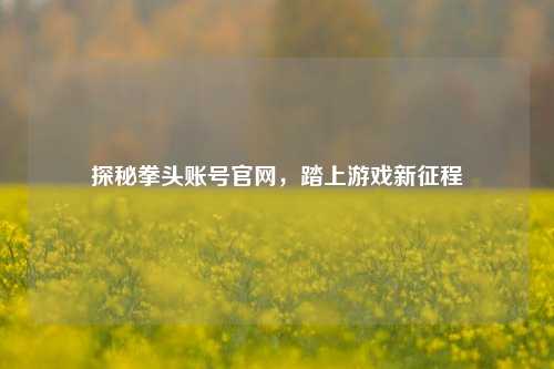探秘拳头账号官网，踏上游戏新征程