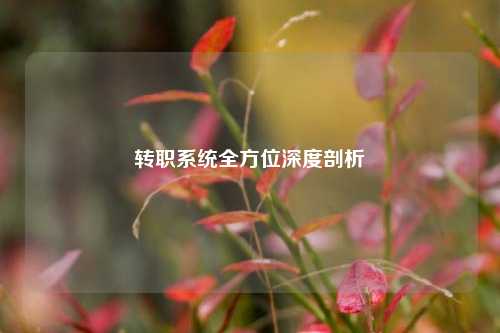 转职系统全方位深度剖析