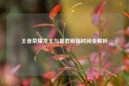 王者荣耀龙王与暴君刷新时间全解析