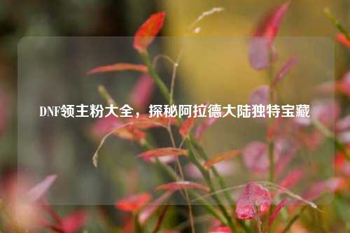 DNF领主粉大全，探秘阿拉德大陆独特宝藏