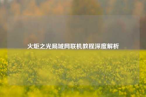 火炬之光局域网联机教程深度解析