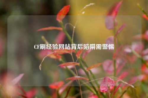 CF刷经验网站背后陷阱需警惕