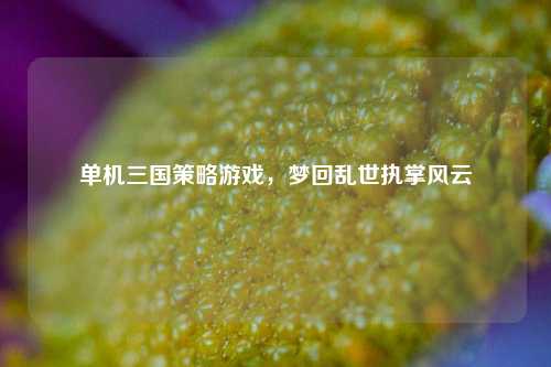 单机三国策略游戏，梦回乱世执掌风云