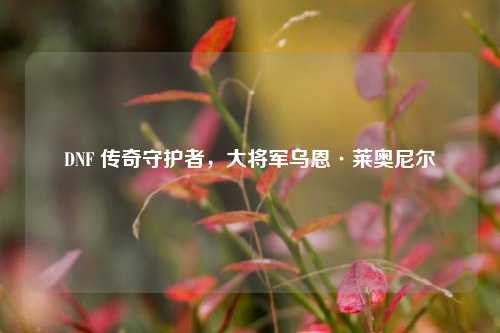 DNF 传奇守护者，大将军乌恩·莱奥尼尔